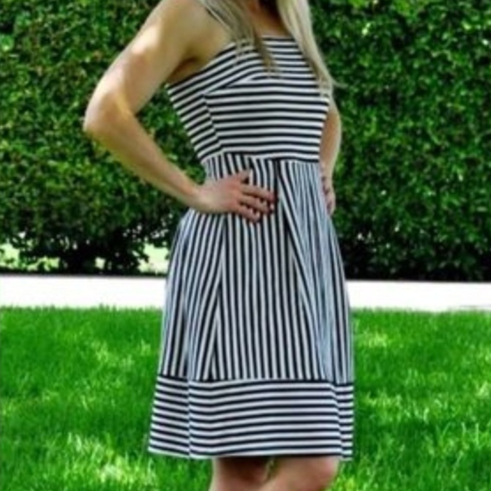 Stitch Fix Brixton Ivy Levi Ponte Dress
